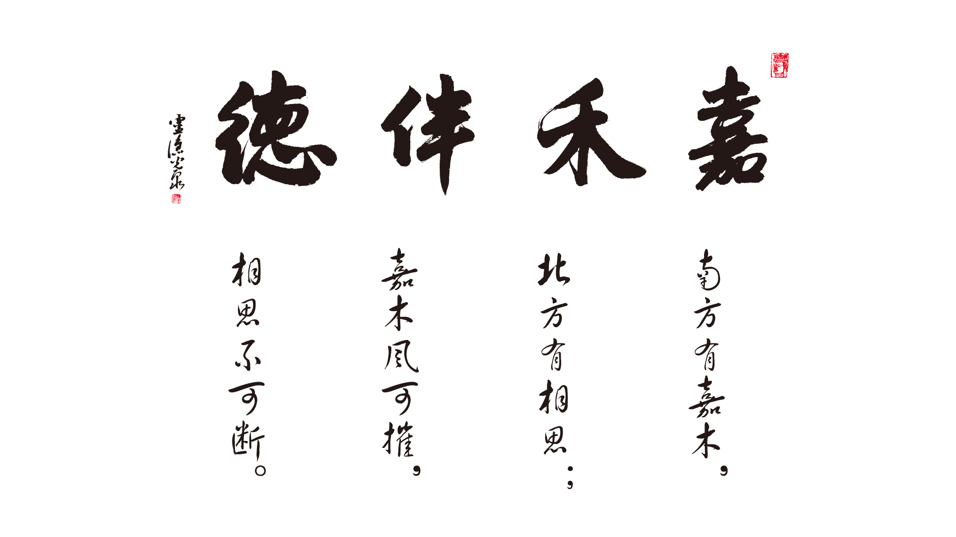 嘉禾伴德无背景